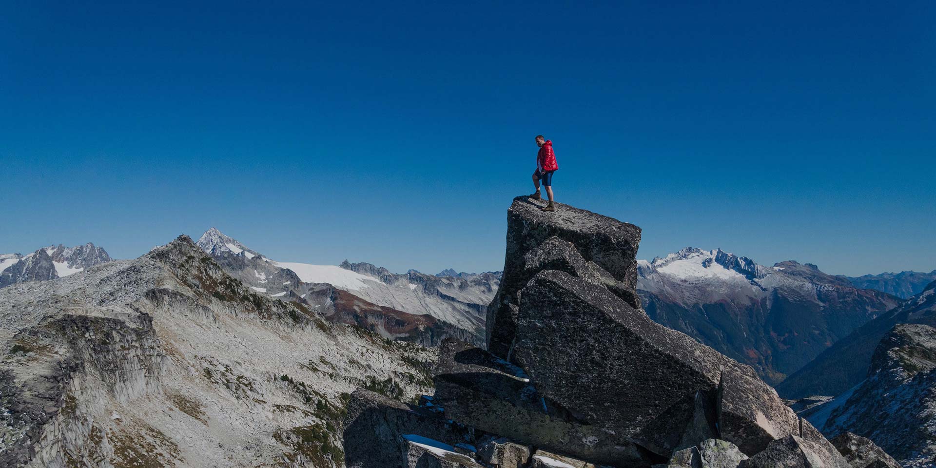 联系尊龙新版官网网页版