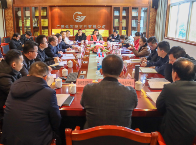 政企合力，共促发展|玉林市副市长石红艳到我司主持召开专题研究会议